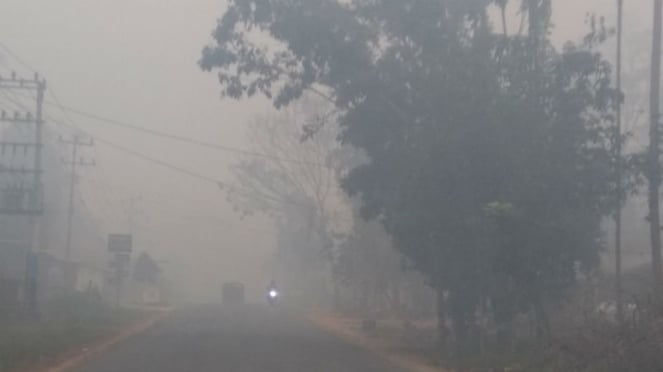 Hez en zombie, sábado 21 de septiembre de 2019