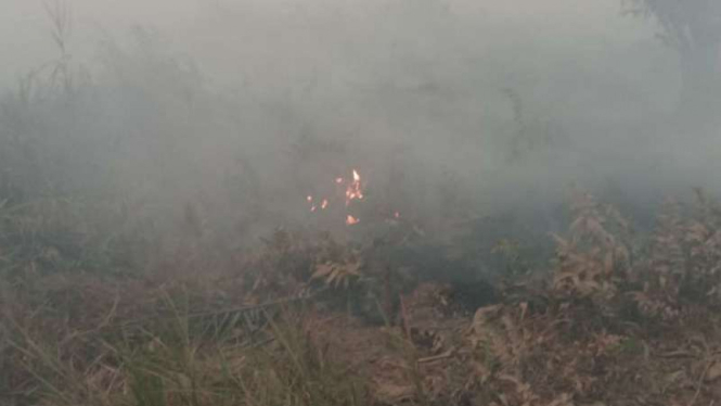 Kebakaran di ladang sawit di Muaro Jambi, Jambi.