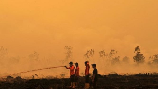 Petugas SAR Direktorat Sabhara Polda Jambi memadamkan kebakaran lahan gambut milik salah satu perusahaan di Puding, Kumpeh Ilir, Muarojambi, Jambi, Rabu (11/9/2019). - ANTARA FOTO