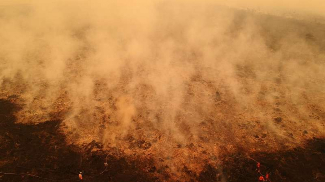 Kebakaran hutan dan lahan gambut di Muarojambi, Jambi
