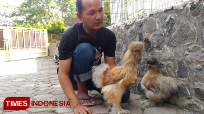 Rully Wicaksono dan ayam-ayam hias yang dipeliharanya. (foto: Muhammad Dhani Rahman/TIMES Indonesia)Â 
