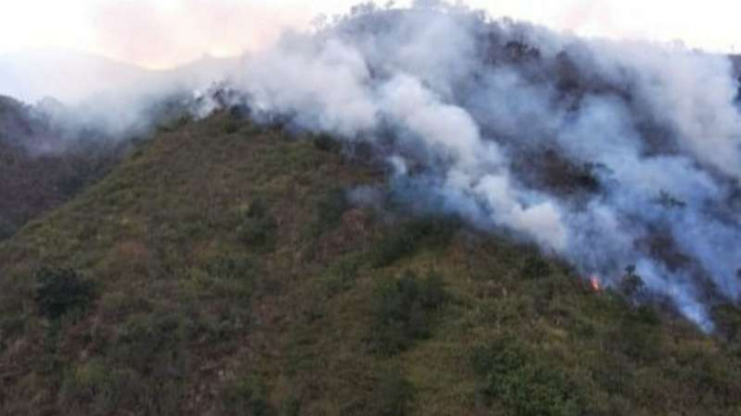 Kebakaran di gunung Merbabu sulit dipadamkan