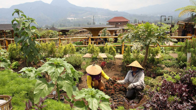 Menikmati Desa Wisata Pujon Kidul