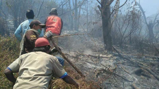 Petugas berusaha memadamkan kebakaran hutan di Gunung Merbabu, Jawa Tengah.