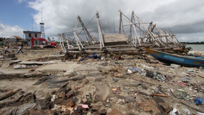 Tsunami Bawa Wabah Jamur Parasit, Indonesia Bisa Jadi Korban Selanjutnya!. (FOTO: Sufri Yuliardi)