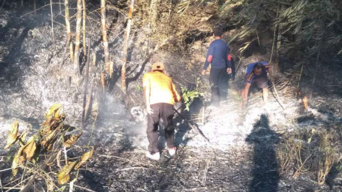 Tim SAR mengevakuasi tiga belas pendaki Gunung Raung di Jawa Timur akibat gunung itu kebakaran pada Jumat petang, 4 Oktober 2019.