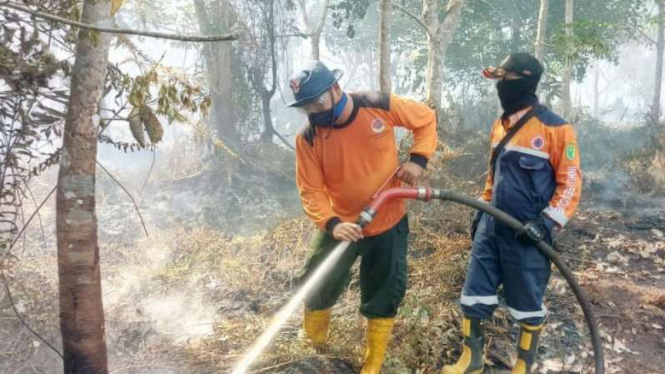 Petugas BNPB melakukan pemadaman kebakaran hutan di Pekanbaru, Riau.