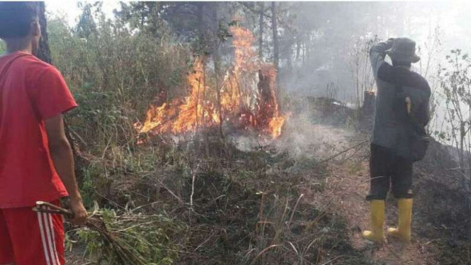 Pemadaman kebakaran lahan di kawasan Gunung Slamet, Jawa Tengah.