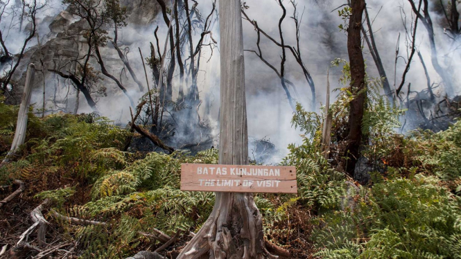 KEBAKARAN HUTAN KAWASAN KAWAH PUTIH