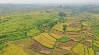 Musim Tanam, Petrokimia Gresik Siapkan 887.603 Ton Pupuk Subsidi