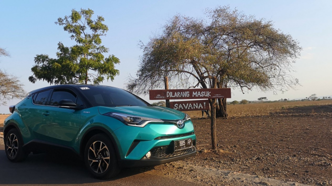 Test drive Toyota C-HR Hybrid di Taman Nasional Baluran Jawa Timur