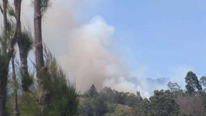 Kebakaran hutan di wilayah Gunung Semeru, Jawa Timur.