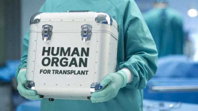 Di Australia 1400 orang setiap tahun dalam daftar tunggu bagi operasi transplantasi organ.