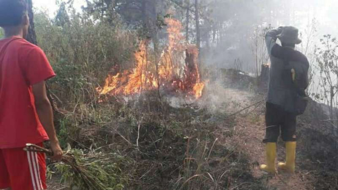 Kebakaran Hutan di Jawa Tengah.