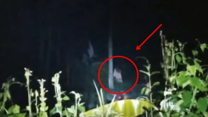 Unduh 7100 Gambar Hantu Kuntilanak Paling Seram Paling Bagus 