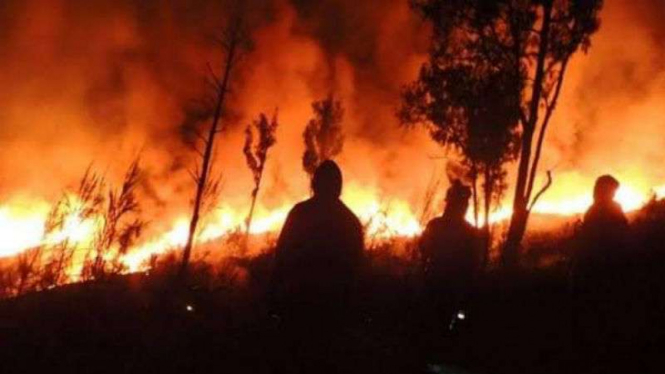 Kawasan di Gunung Rinjani, Lombok, NTB terbakar.
