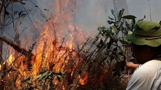 Petugas menghalau api agar tidak menyebar ke area pendakian Senaru di Gunung Rinjani, Lombok, Nusa Tenggara Barat, Minggu, 20 Oktober 2019.