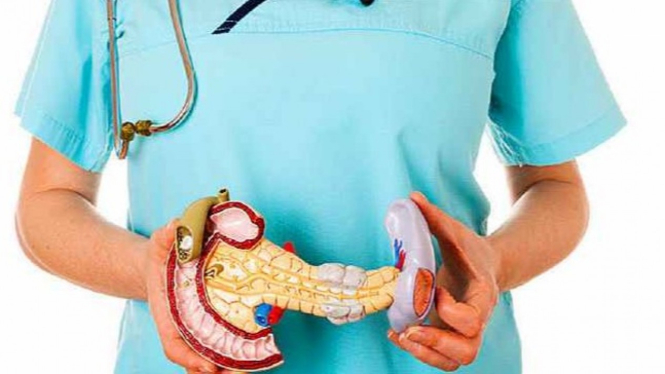 Organ pankreas