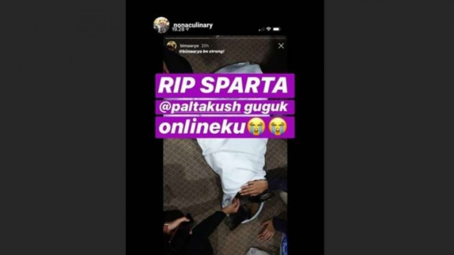 Sparta anjing kesayangan Bima Aryo