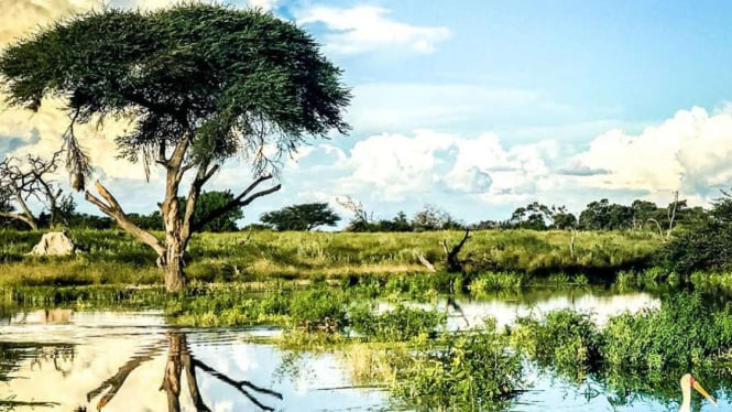 Kawasan Delta Okavango, Bostwana