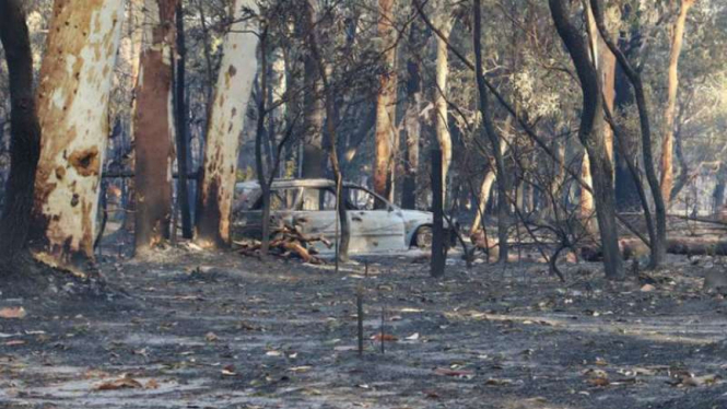 Bangkai mobil yang terbakar akibat kebakaran di hutan News South Wales