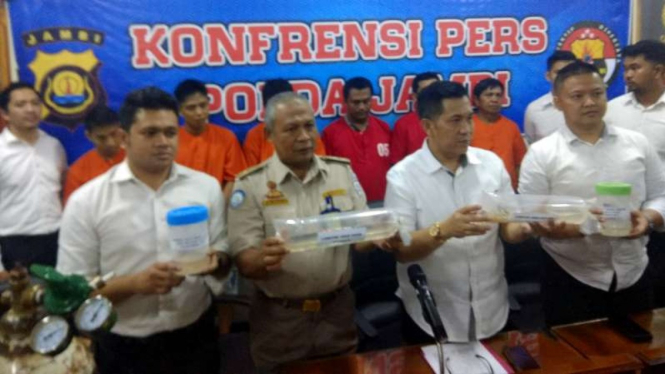 Polda Jambi amankan penyelundupan benih lobster