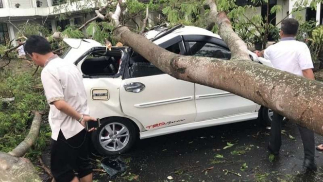 Mobil tertimpa pohon di kota Serang, Banten