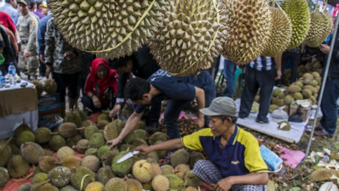 Durian Indonesia Kalah Saing dari Malaysia dan Thailand di China.(FOTO: Nurul Ramadhan)