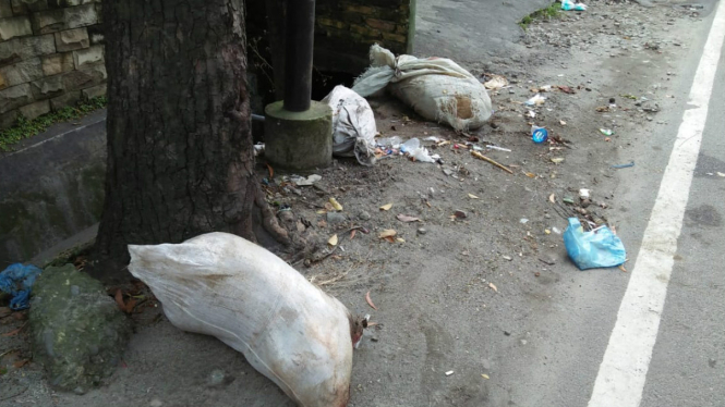 Tiga bangkai Babi dibuang sembarangan di pinggir Jalan Kota Medan
