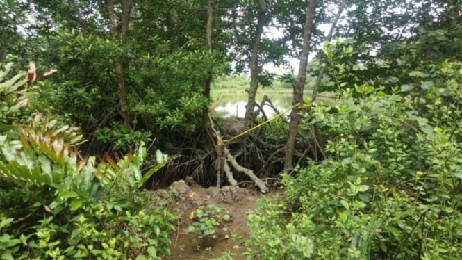 Sebuah lokasi diduga tempat merakit bom di area hutan bakau di Kota Medan, Sumatera Utara, setelah digeledah oleh polisi pada Kamis malam, 14 November 2019.