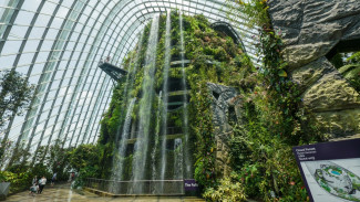 Kunjungi Orchid Display di Cloud Forest