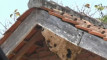 Photo Mini 1