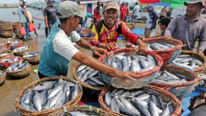 Nelayan membongkar muat ikan jenis tongkol (Euthynnus sp) hasil tangkapan nelayan di Pelabuhan Pendaratan Ikan (PPI) Samudera, Banda Aceh, Aceh, Selasa (8/10/2019). - ANTARA FOTO
