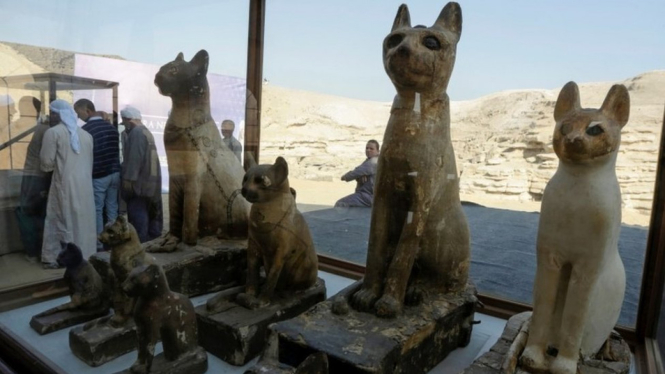 Mumi-mumi hewan ditemukan di Saqqara, lokasi permakaman kuno di sebelahs elatan Kairo. - Reuters