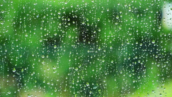 ilustrasi air hujan