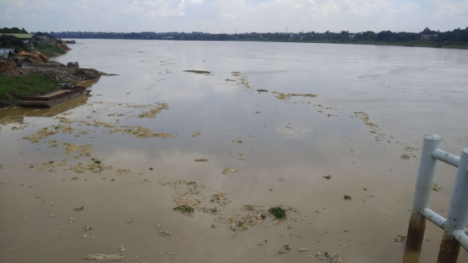  Air sungai Batanghari, Jambi tercemar sampah parah