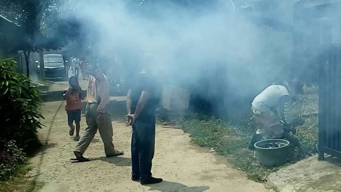 Petugas melakukan fogging untuk mengeluarkan ular dari sarangnya di Citayam.