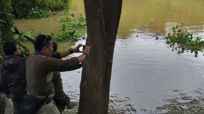 Warga mengamati Sungai Cimanuk di Kabupaten Garut, Jawa Barat, tempat beberapa buaya kecil kerap muncul ke permukaan air pada Rabu, 11 Desember 2019.