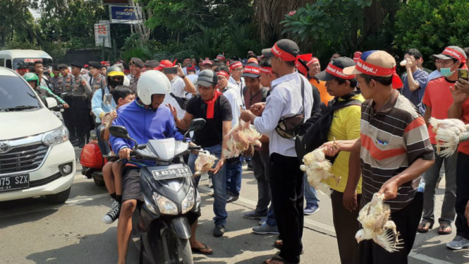 Peternak ayam lakukan demo di Kementan