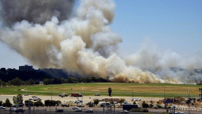 Kebakaran semak terjadi di dekat Stasion Perth. - AFP