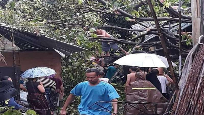 Hujan dan angin puting beliung merobohkan pohon yang menimpa rumah di NTB