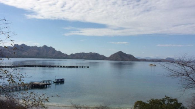 Lonely Planet memilih NTT termasuk Pulau Komodo sebagai salah satu kawasan yang patut dikunjungi di tahun 2020.