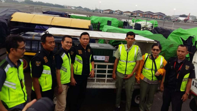 ?Translokasi orangutan dari Bali tiba di Bandara Kualanamu