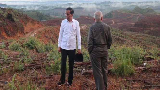 Presiden Jokowi saat meninjau lokasi Ibu Kota baru RI di Penajam Paser Utara, Kalimantan Timur. 