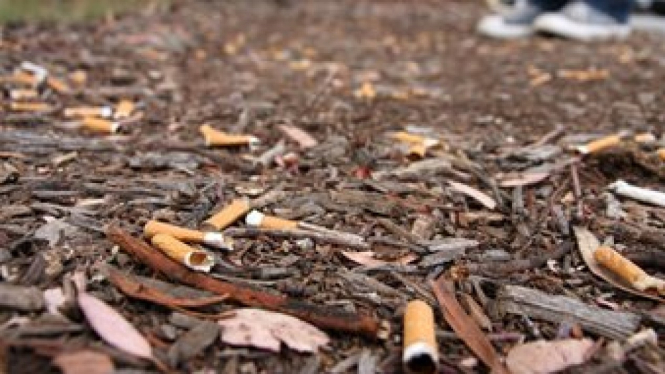 Puntung rokok telah beresiko dan bahkan menyebabkan kebakaran hutan di Australia dan kini hukuman berat diberlakukan.