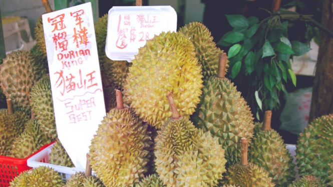 Yuk Kita Berburu Durian di Singapore!