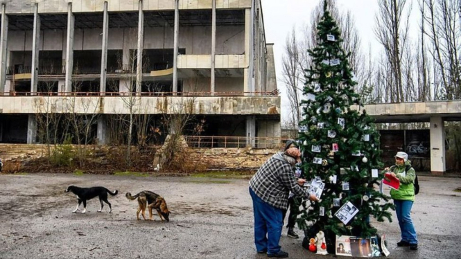 Para warga datang untuk memasang dan menghias pohon Natal di kota yang sudah lama mereka tinggalkan. - BBC