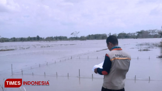 Petugas dari BPBD Gresik saat mendata lahan pertanian yang terendam (Foto: Akmal/TIMES Indonesia)