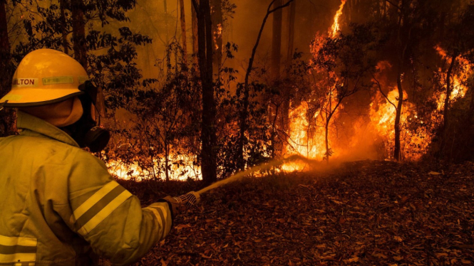 Satelit Tangkap Gambar  Kebakaran Hutan Mematikan di Australia