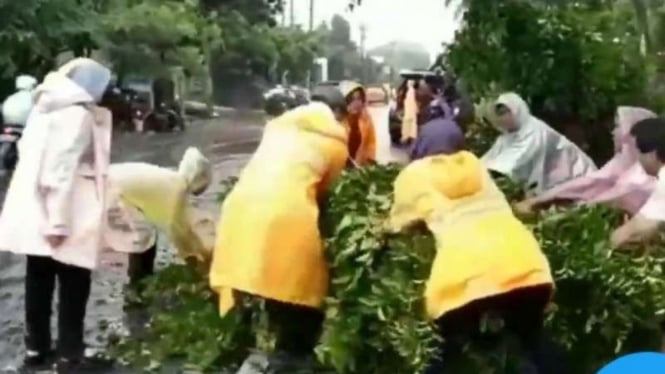 Wali Kota Risma ikut tangani pohon tumbang (paling kiri) di Surabaya.